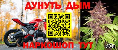 дмт Аргун
