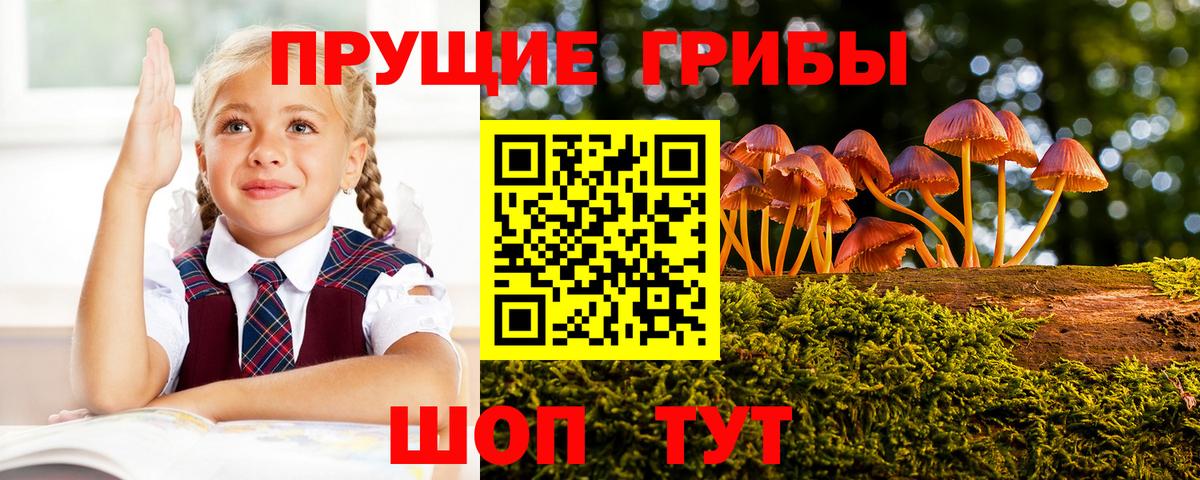 Псилоцибиновые грибы MAGIC MUSHROOMS  Вход с VPN  сколько стоит  Воронеж 
